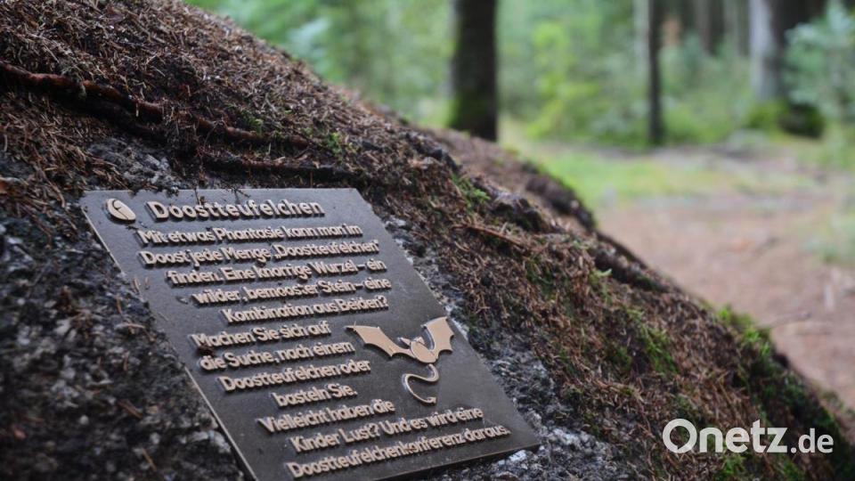 Die Bronzetafel zum Doostteufelchen, sollte dazu anregen, knorrige Wurzeln, wilde bemooste Steine zu sammeln und daraus Doostteufelchen zu basteln. Weil das gegen die Auflagen im Naturschutzgebiet verstößt und viel Kritik hervorrief, wird die Platte entfernt. Bild: ui