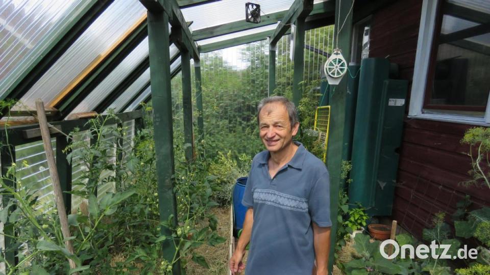 In seinem Treibhaus wendet Erwin Strama die schwarze Erde nun schon einige Jahre als ökologische Alternative zu Düngemittel an. Bild: ubb