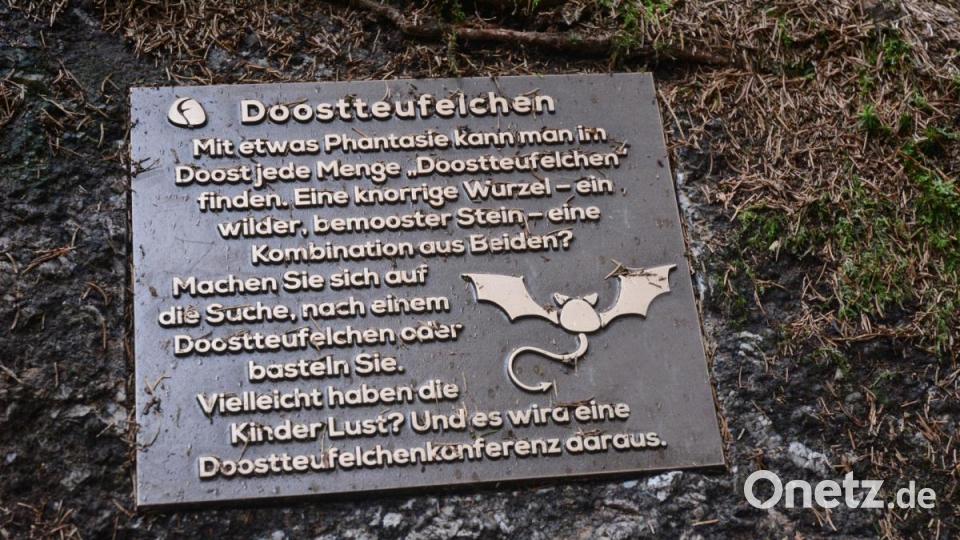 Die Bronzetafel zum Doostteufelchen, sollte dazu anregen, knorrige Wurzeln, wilde bemooste Steine zu sammeln und daraus Doostteufelchen zu basteln. Weil das gegen die Auflagen im Naturschutzgebiet verstößt und viel Kritik hervorrief, wird die Platte entfernt. Bild: Schönberger, Gabi [Gabi Schönberger] (gabriele.schoenberger@oberpfalzmedien.de)
