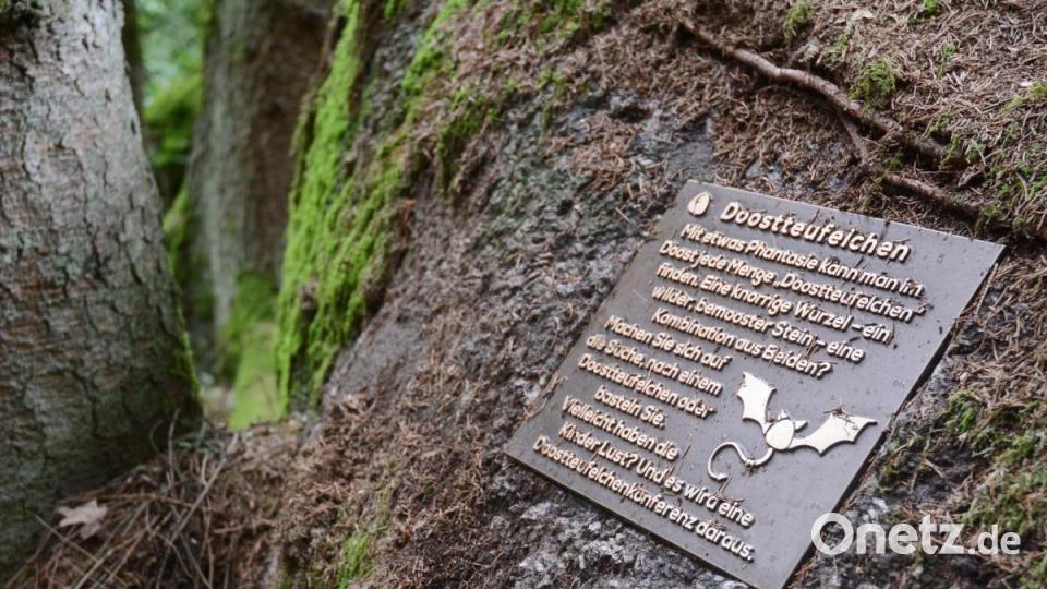 Die Bronzetafel zum Doostteufelchen, sollte dazu anregen, knorrige Wurzeln, wilde bemooste Steine zu sammeln und daraus Doostteufelchen zu basteln. Weil das gegen die Auflagen im Naturschutzgebiet verstößt und viel Kritik hervorrief, wird die Platte entfernt. Bild: Schönberger, Gabi [Gabi Schönberger] (gabriele.schoenberger@oberpfalzmedien.de)