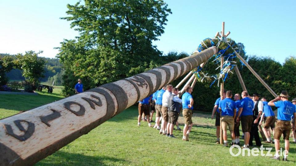Der reich verzierte Kirwabaum wurde mit vereinten Kräften in die Höhe gehievt. Bild: Portner