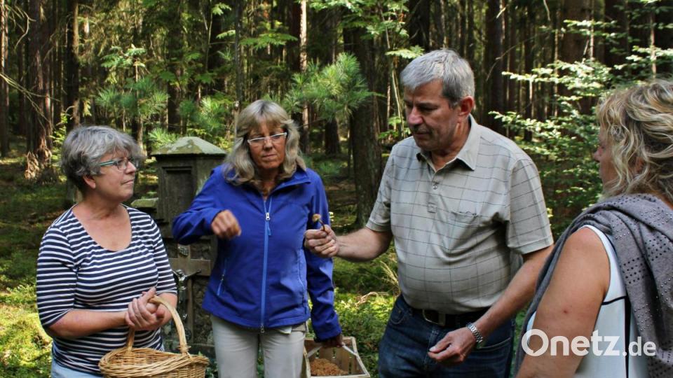 Pilzsachverständiger Baumanis erklärt etwas über einen gefundenen Pilz. Bild: pcma