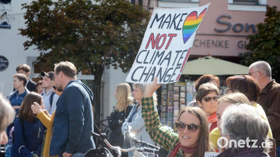 Demo zum Weltklimastreiktag in Weiden. Bild: Gabi Schönberger