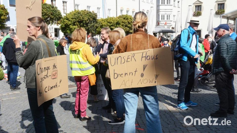 Demo zum Weltklimastreiktag in Weiden. Bild: Gabi Schönberger