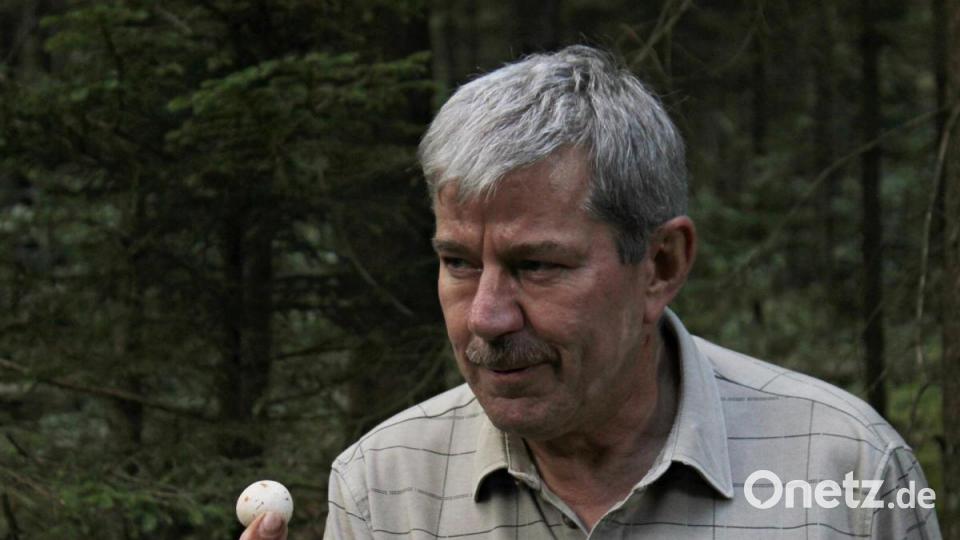 Pilzsachverständiger Herbert Baumanis führte eine Gruppe Schwammerlsucher durch den Hirschwald. Bild: pcma