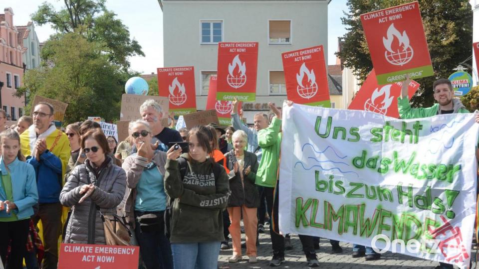 Demo zum Weltklimastreiktag in Weiden. Bild: Gabi Schönberger