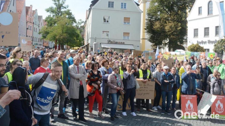 Demo zum Weltklimastreiktag in Weiden. Bild: Gabi Schönberger
