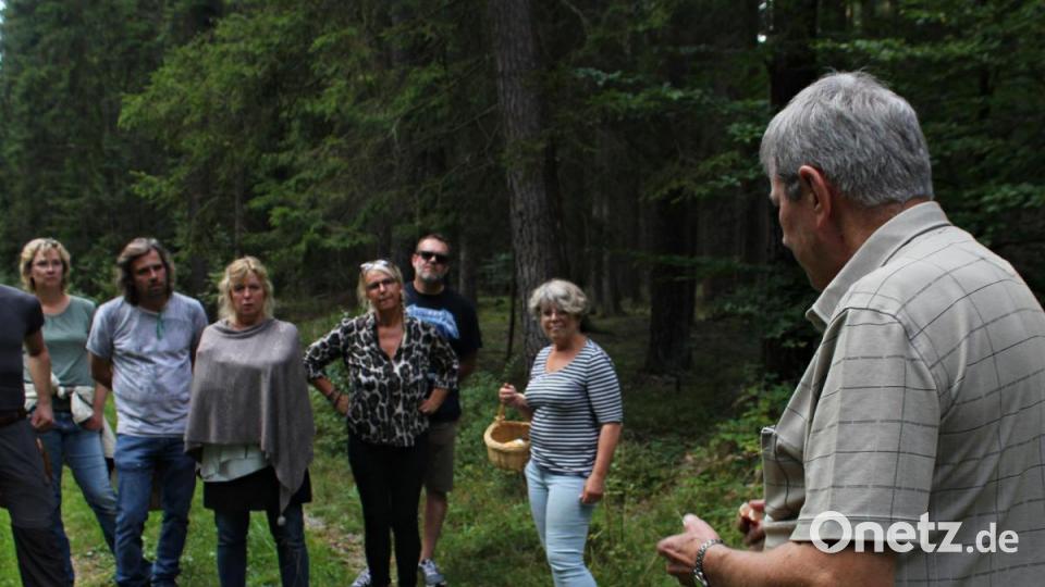 Pilzsachverständiger Herbert Baumanis führte eine Gruppe Schwammerlsucher durch den Hirschwald. Bild: pcma
