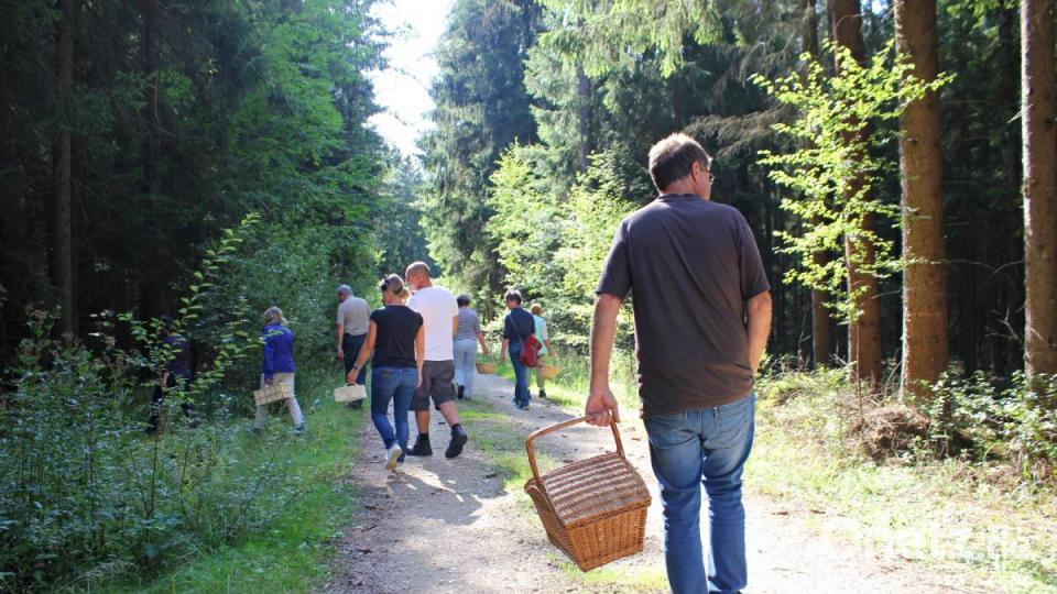 Pilzsachverständiger Herbert Baumanis führte eine Gruppe Schwammerlsucher durch den Hirschwald. Bild: pcma