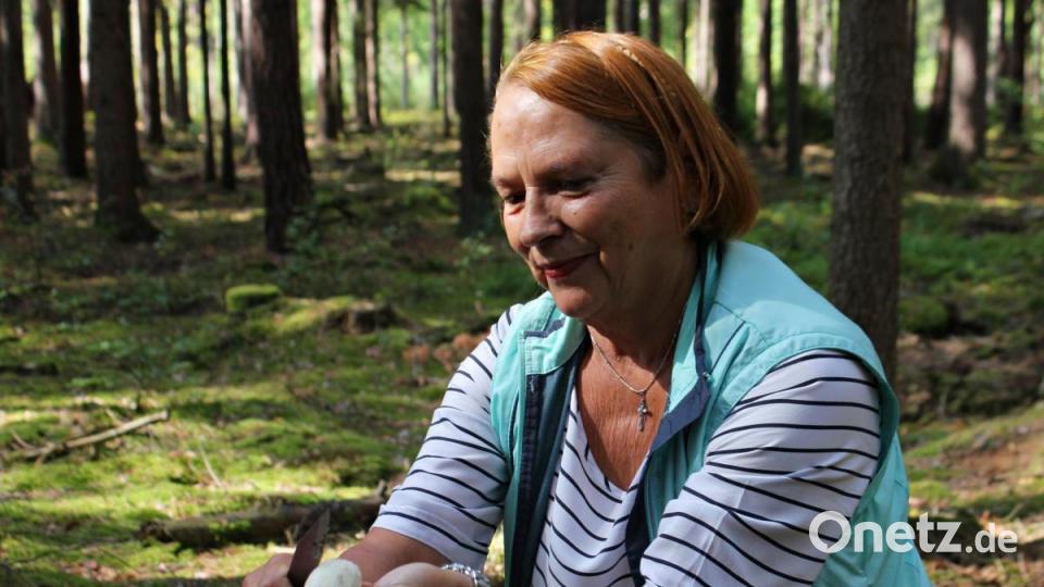 Pilzsachverständiger Herbert Baumanis führte eine Gruppe Schwammerlsucher durch den Hirschwald. Bild: pcma