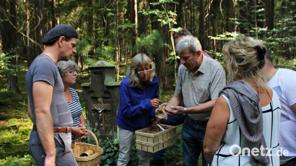 Pilzsachverständiger Herbert Baumanis führte eine Gruppe Schwammerlsucher durch den Hirschwald. Bild: pcma