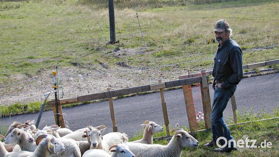 Axel Götte lebt in der Natur und mit ihr. Es gefällt ihm, sich bei seinen Schafen aufzuhalten. Bild: ld