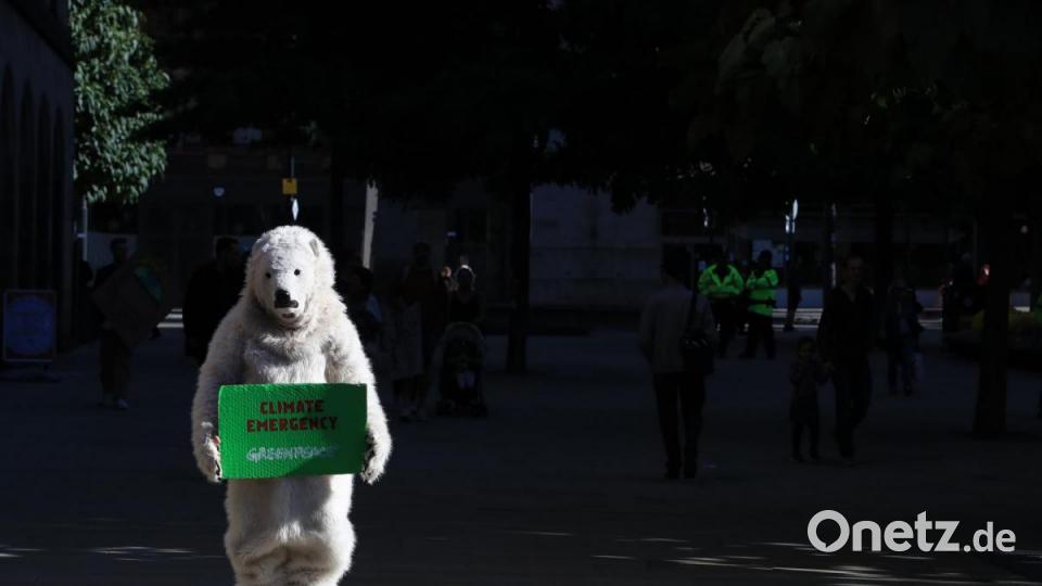 Greta Thunberg und ihr Schulstreik für mehr Klimaschutz hat weltweit Menschen zu Demonstrationen inspiriert. Bild: Peter Byrne