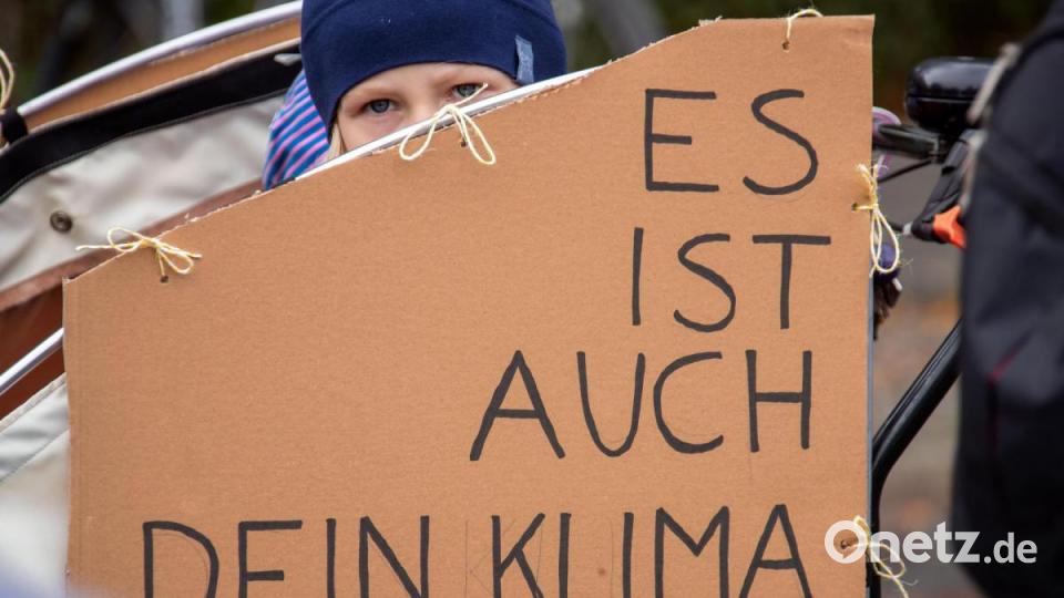 Greta Thunberg und ihr Schulstreik für mehr Klimaschutz hat weltweit Menschen zu Demonstrationen inspiriert. Bild: Jens Büttner