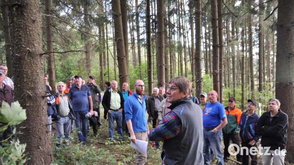 Borkenkäferbeauftragter Martin Kraus (Mitte, blaue Jacke) erklärte den Waldbesitzern, wie diese befallene Bäume identifizieren können. Bild: ak