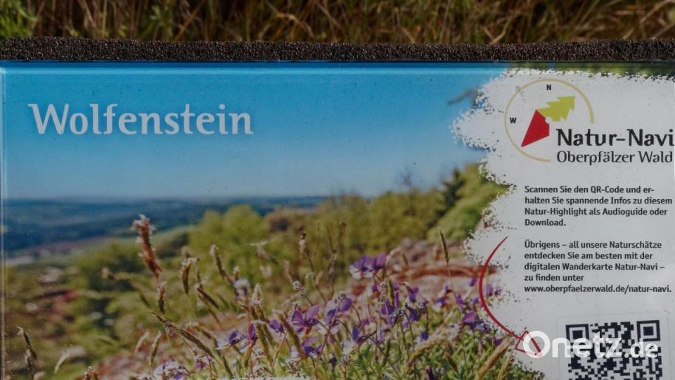 Die Drucke der Infotafeln auf den Stelen sind durch Sicherheitsglas geschützt. Bild: tr