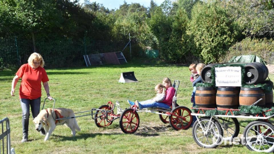 Riesen-Spaß für die kleinen Besucher bringt eine Fahrt mit dem "Hundetaxi". Bild: hcz
