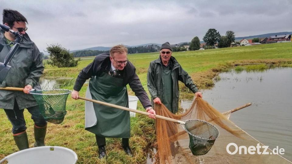 Andreas Süß, Landtagsabgeordneter Alexander Flierl und Peter Süß (von links) beim Abfischen. Bild: anv