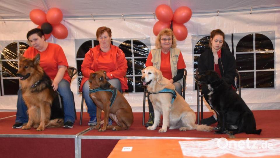 Akimo, Shani, Chesper und Sheela berichten mit den Stimmen ihrer Frauchen von ihren Erlebnissen beim Zug- und Begleithundeverein. Bild: hcz