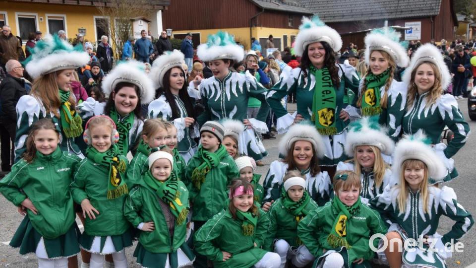 Grün, grün und immer wieder grün - die Dietldorfer Gardemädels waren schon eine Hausmacht beim Narrenzug. Am Dietldorfer Stachus stellten sie sich dem Fotografen. Bild: bö