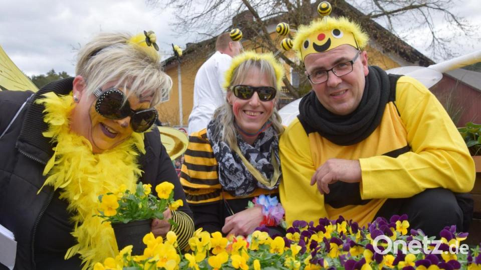 "Rettet die Bienen": Dafür gab's in Dietldorf eine eigene Blumenwiese. Bild: bö
