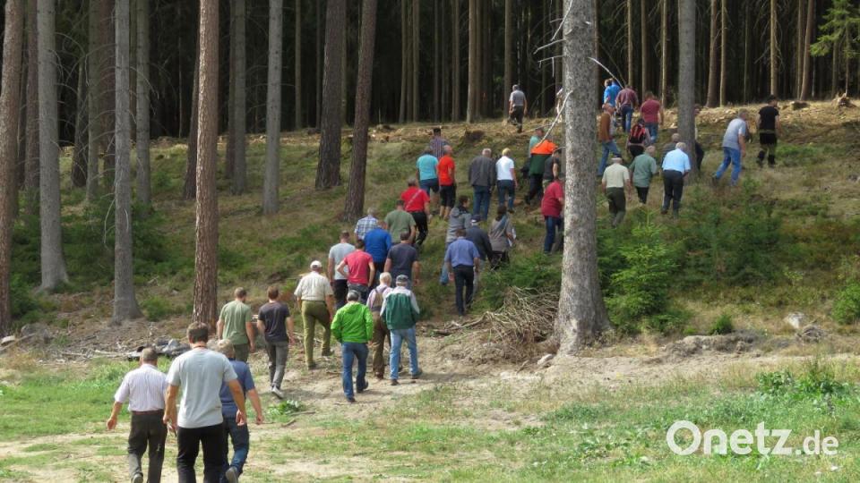 Gemeisam ging es zum abgeholzten Waldstück, um vor Ort weitere Ratschläge zu erfahren über die Bekämpfung des Borkenkäfers. Bild: ubb