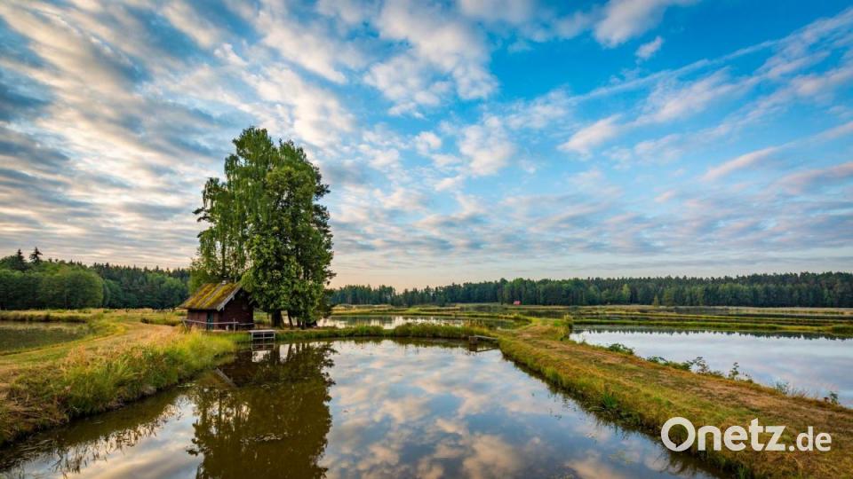Die besondere Landschaft ist nicht nur für Touristen beeindruckend. Bild: Tourismuszentrum Oberpfalz