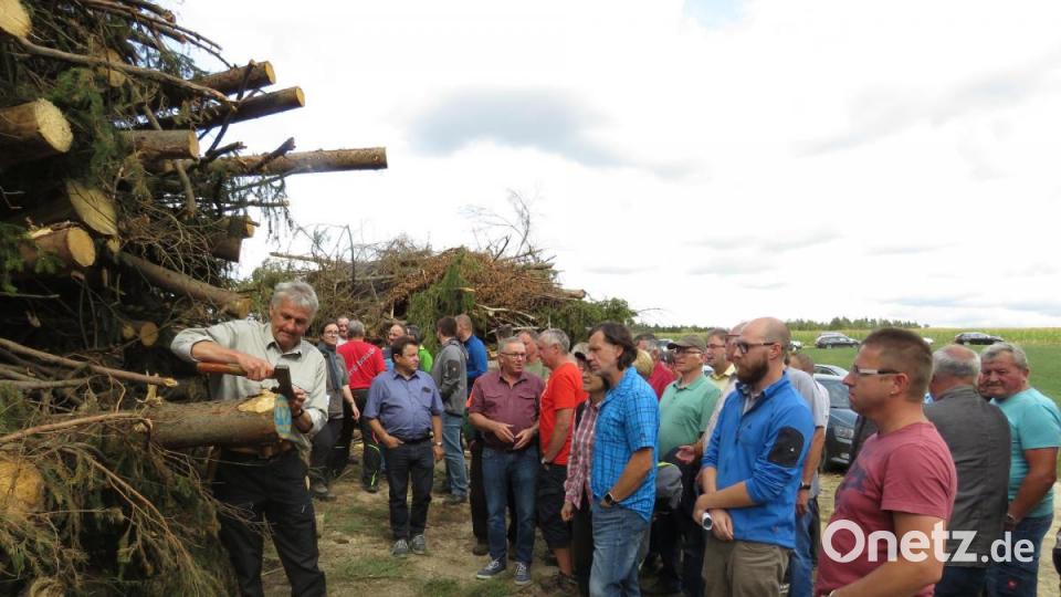 Revierförster Karlheinz Melzer zeigte den Waldbesitzern bei der Borkenkäfer-Infoveranstaltung, wie es unter der Rinde aussieht. Bild: ubb