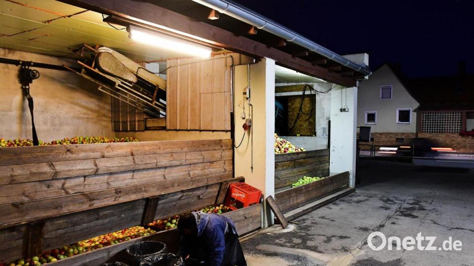In der Obstverwertung von Anni Rösel in Sulzbach-Rosenberg laufen die Pressen auf Hochtouren. Bild: Petra Hartl