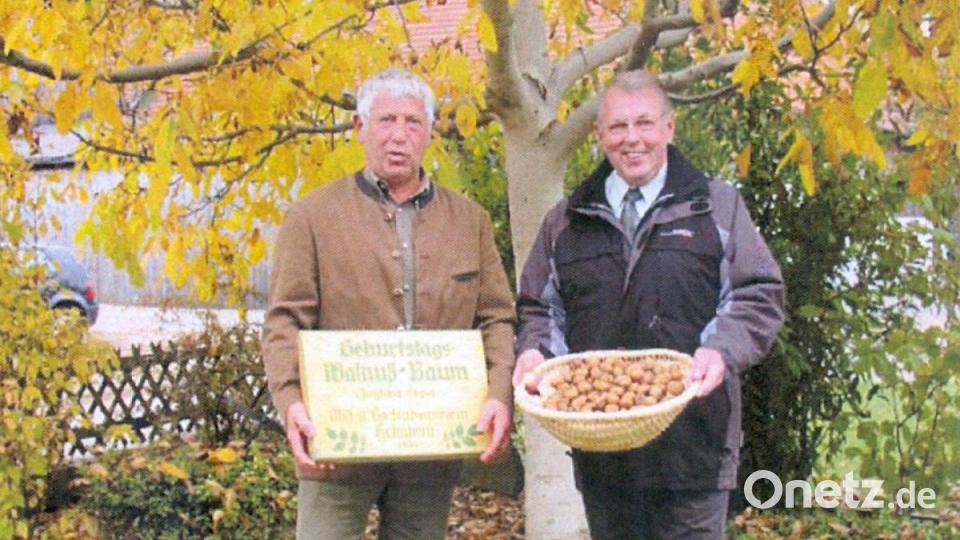 Josef Luber (rechts) und Franz Erras vor einem &quot;Geburtstags-Nußbaum&quot; in Kümmersbuch, der mittlerweile reiche Ernte beschert Bild: hka