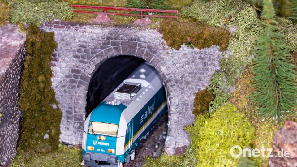 Weitere Bilder von den Anlagen der Schwandorfer Modellbahner. Bild: Hösamer
