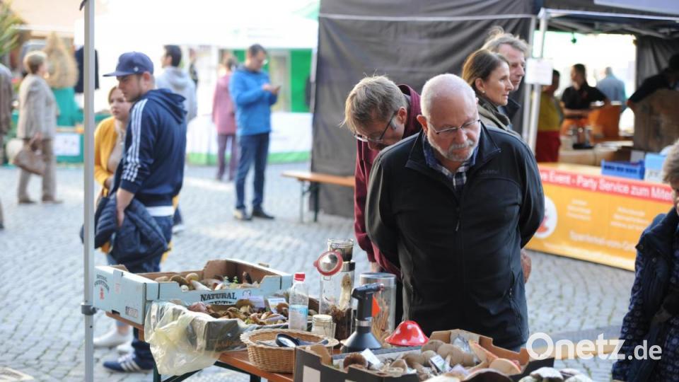 Eine große Auswahl an Pilzen war zu sehen. Bild: Andreas Brückmann
