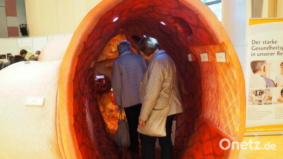 Begehbare Organe gehören zum Besucherangebot. Bild: Bühner