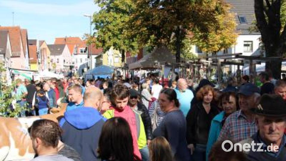 Kaum ein Durchkommen zwischen den Ständen der knapp 70 Aussteller ist am Sonntagnachmittag auf dem Bauernmarkt in der Freyung möglich. Bild: prh