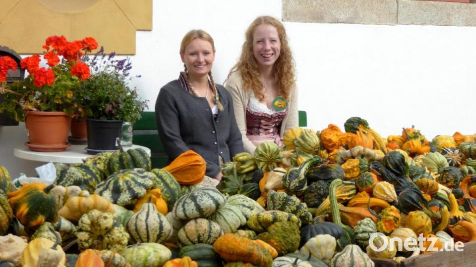 Zwei fesche Verkäuferinnen am Zierkürbisstand. Bild: Schönberger, Ferdinand [fsb]