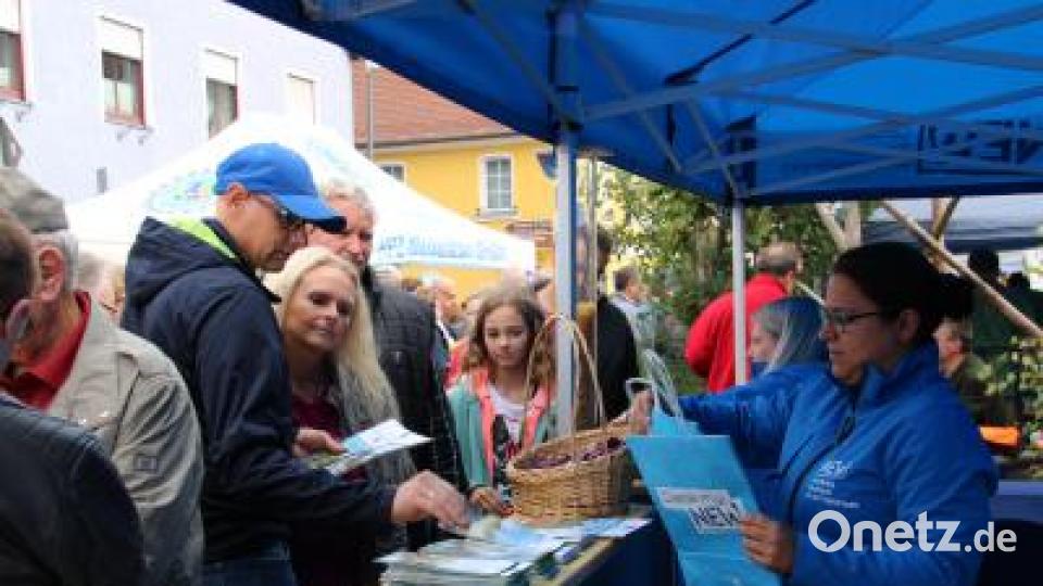 Dicht umlagert ist den ganzen Tag der Info-Stand des Landkreises, an dem es viele interessante Prospekte umsonst gibt. Bild: prh