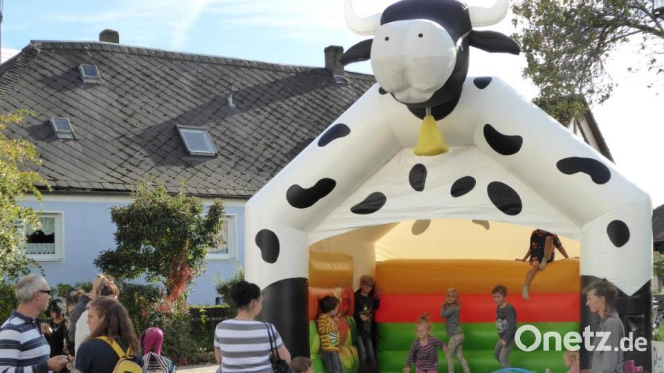 Viel Spaß in der Hüpfburg. Bild: Schönberger, Ferdinand [fsb]