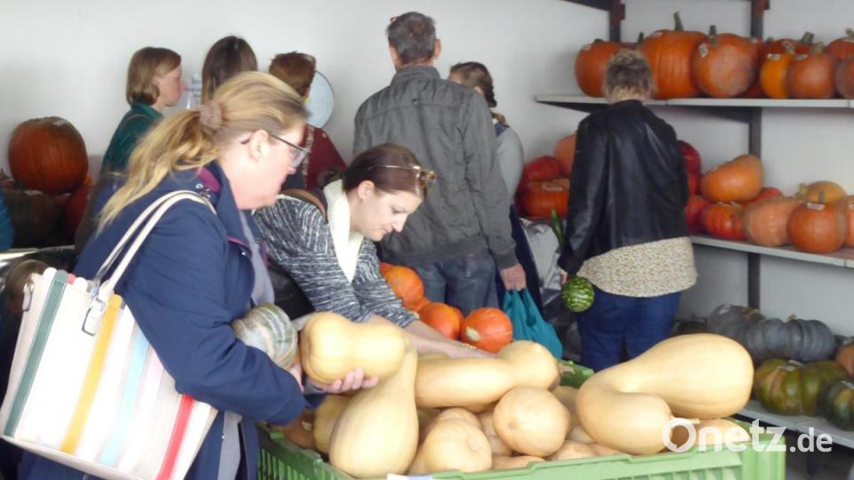 Viel los ist am Stand mit den Esskürbissen. Bild: Schönberger, Ferdinand [fsb]