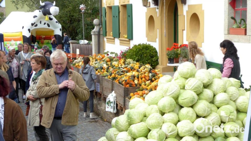 Riesenandrang beim Hoffest auf dem Beutnerhof Bild: Schönberger, Ferdinand [fsb]