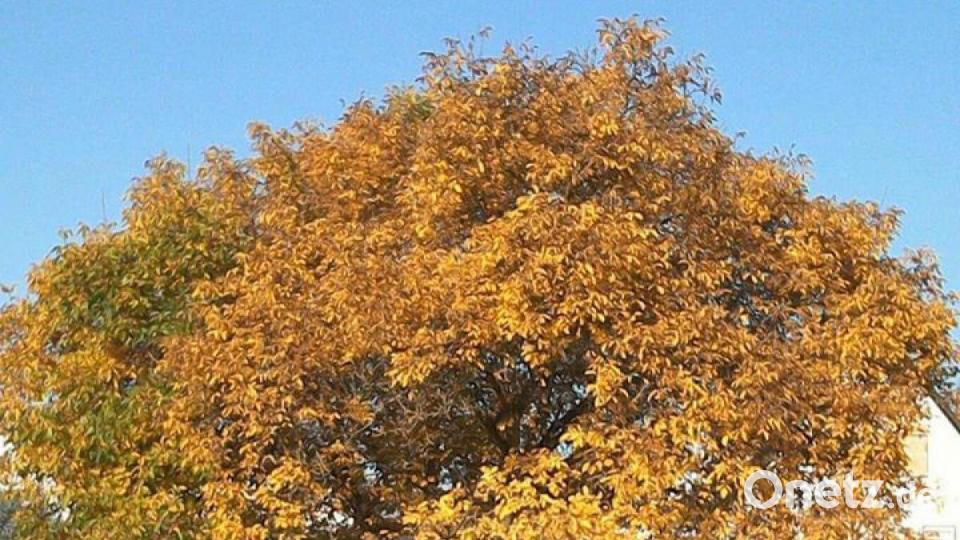 Die schönsten Herbstbilder unserer Facebook-User für Oktober. Bild: Doris Rath