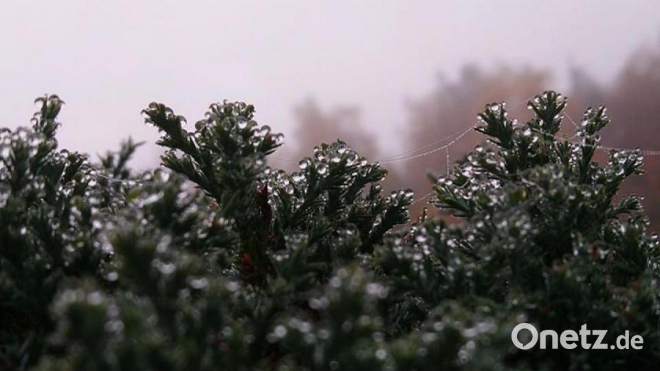 Die schönsten Herbstbilder unserer Facebook-User für Oktober. Bild: Monika Speckner