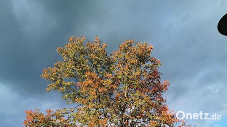 Die schönsten Herbstbilder unserer Facebook-User für Oktober. Bild: Sabi Ley