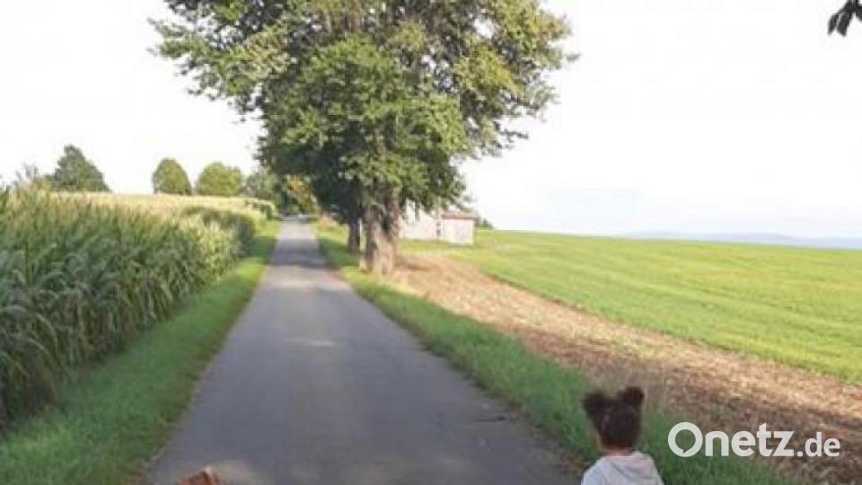 Die schönsten Herbstbilder unserer Facebook-User für Oktober. Bild: Uschi Ziegler