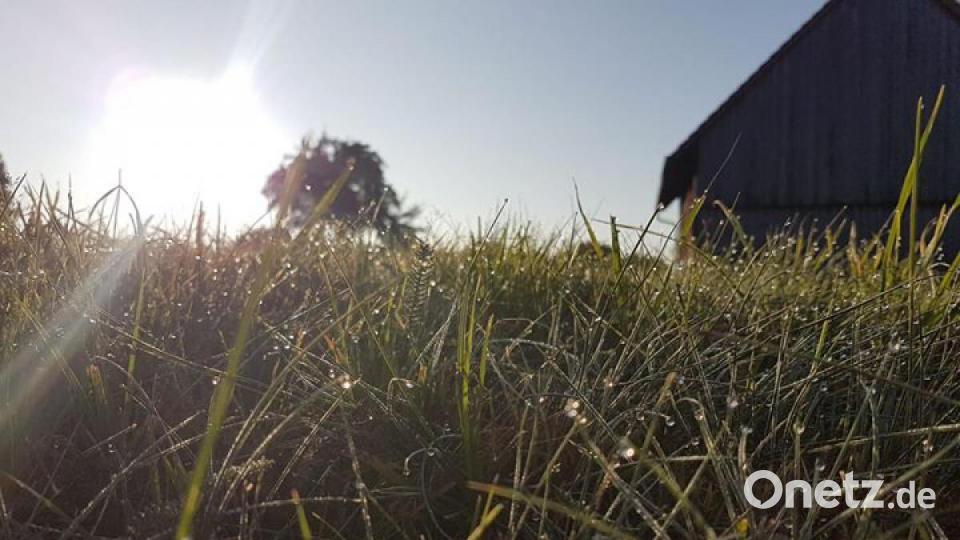 Die schönsten Herbstbilder unserer Facebook-User für Oktober. Bild: Ramona Funk