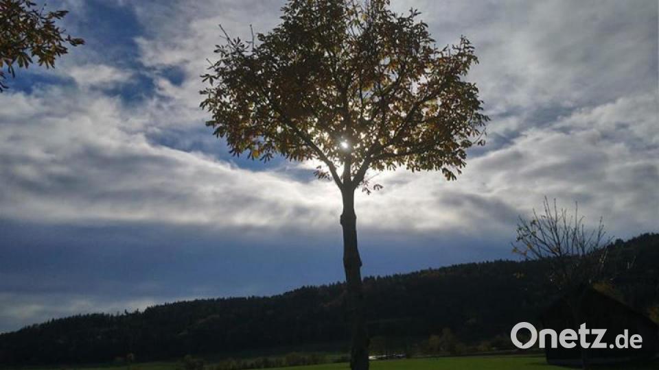 Die schönsten Herbstbilder unserer Facebook-User für Oktober. Bild: Monika Speckner
