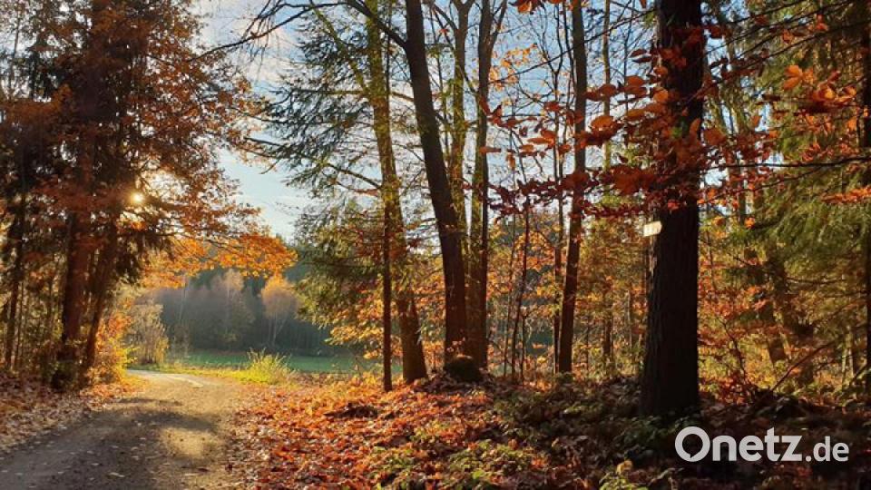Die schönsten Herbstbilder unserer Facebook-User für Oktober. Bild: Kerstin Fischer
