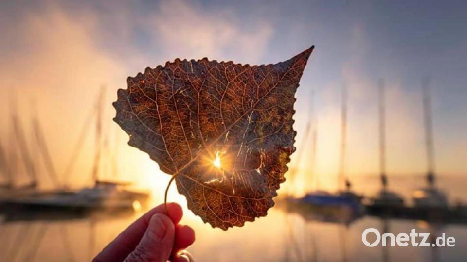 Die schönsten Herbstbilder unserer Facebook-User für Oktober. Bild: Melanie Martinu