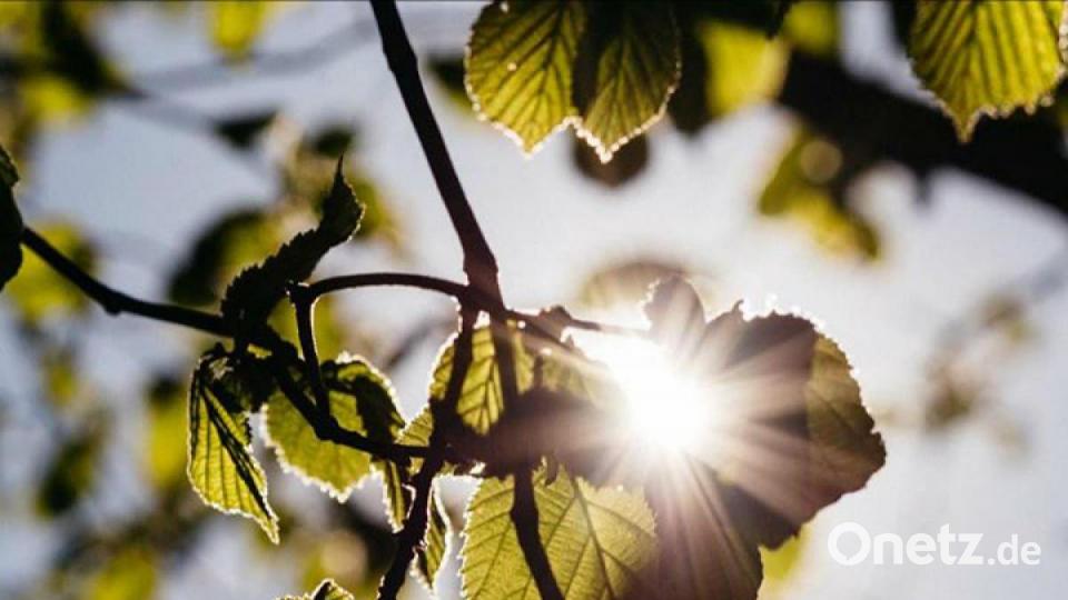 Die schönsten Herbstbilder unserer Facebook-User für Oktober. Bild: Monika Speckner