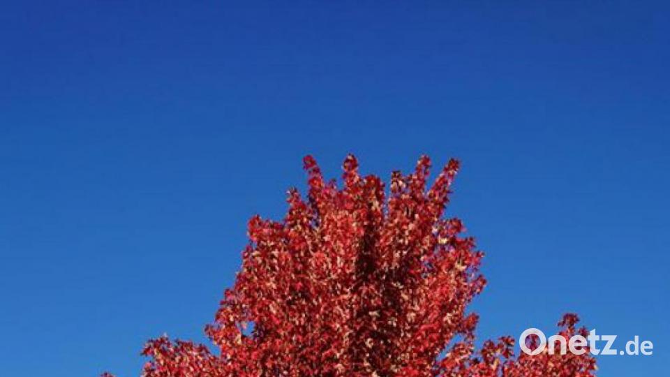 Die schönsten Herbstbilder unserer Facebook-User für Oktober. Bild: Jenny Fl.