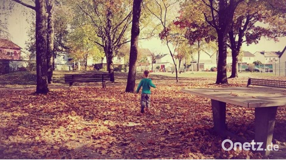 Die schönsten Herbstbilder unserer Facebook-User für Oktober. Bild: Alexandra Victoria